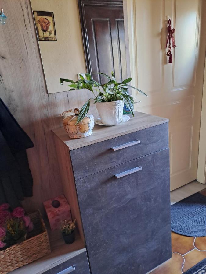Spiros Corfu Apartment Kanálion Eksteriør billede