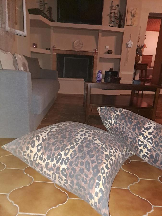 Spiros Corfu Apartment Kanálion Eksteriør billede